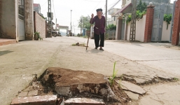 Vụ quan xã tự ý chặt cây xanh khi dẹp vỉa hè : Hà Nội ra công văn khẩn